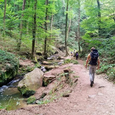 Tent On A Campsite, Adjacent To The Forest, 27 Km From Luxembourg *